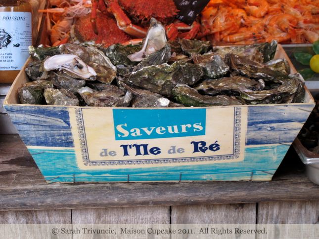 Oysters Ile de Re France