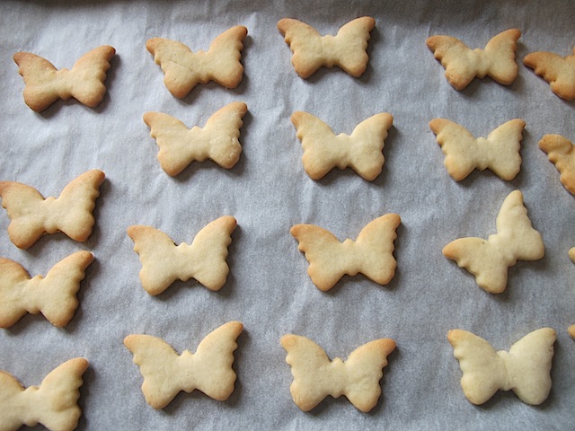 butterfly-cookies