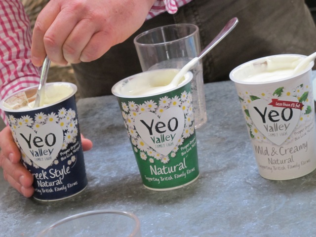 yeo-valley-yogurt-pots