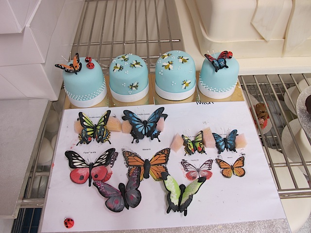 Mich-Turner-Little-Venice-Cake-Company-painted-butterflies