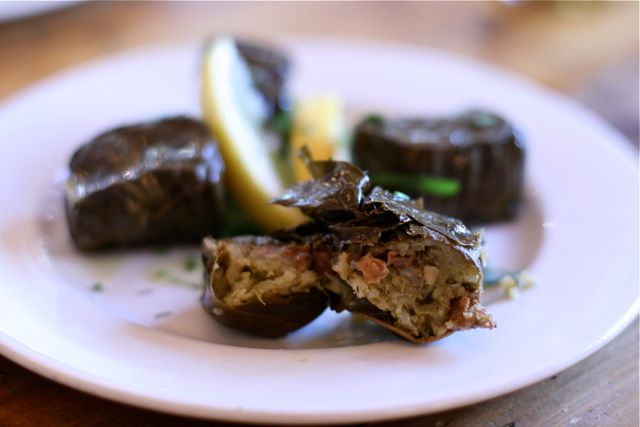 The-Real-Greek-dolmades