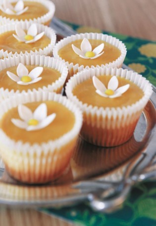 Daisy cupcakes