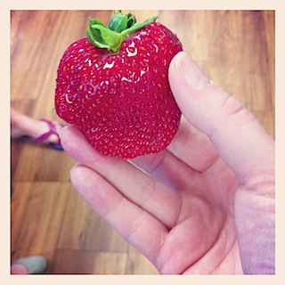 Giant strawberry