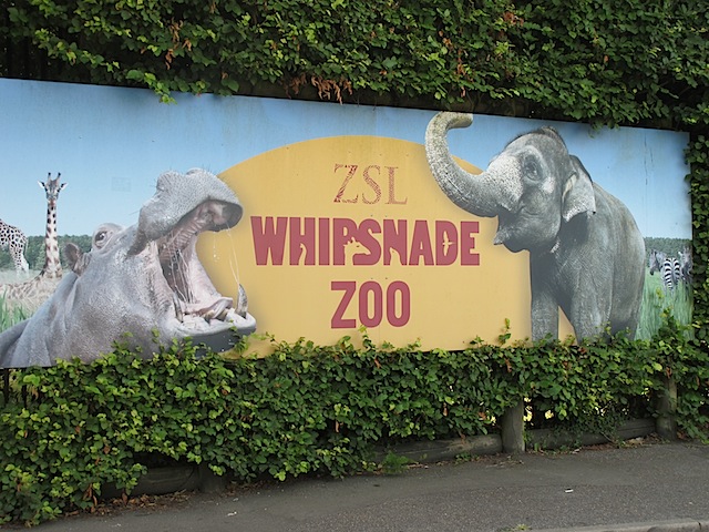 whipsnade-zoo