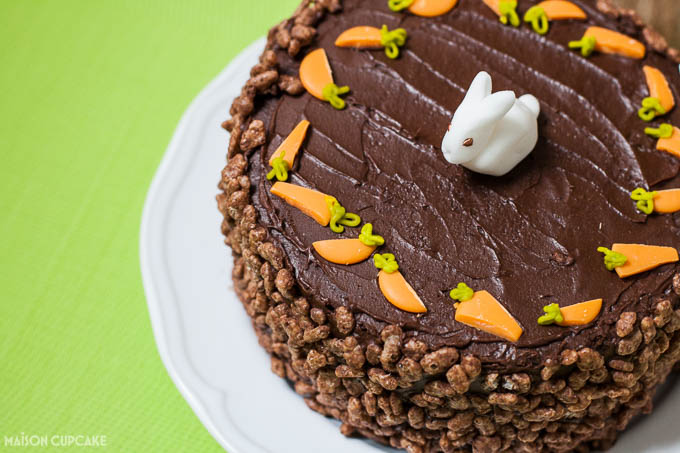 Easter bunny rabbit poop cake - 4