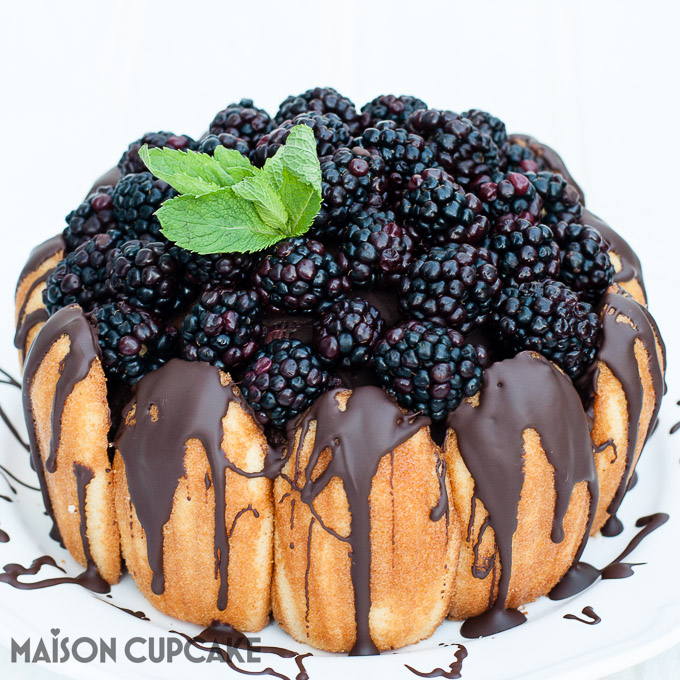 How to make Chocolate Blackberry Charlotte Dessert easy showstopper bombe with quark mousse See step by step photos at MaisonCupcake.com