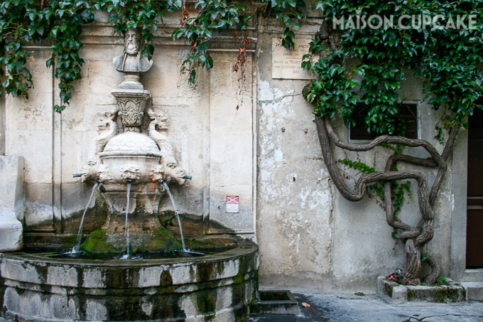 Fountain street scene St Remy de Provence