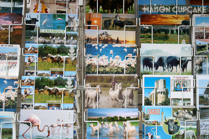 Camargue Postcards for sale in France