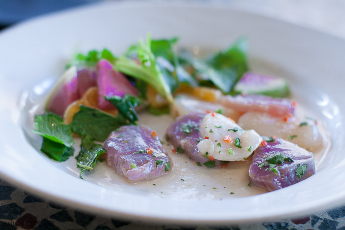 Scallop and Tuna Ceviche starter at Jamie Oliver Barbecoa