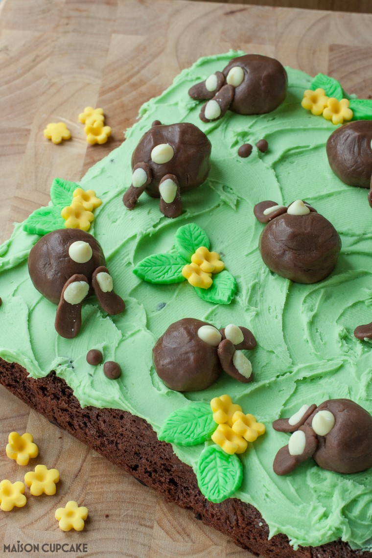 Chocolate Bunny Bum Cake Step by Step pics