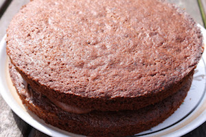 BOTW Chocolate layer cake