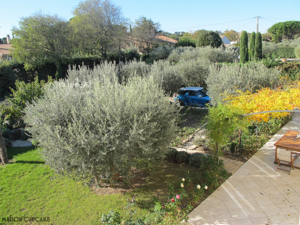 Home away from home holiday rental in St Remy de Provence France