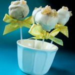White Chocolate Cake Pops with Ginger Cake