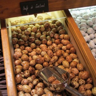 Maison Larnicol, Saint Malo, shop display of chocolate truffles with metal scoop