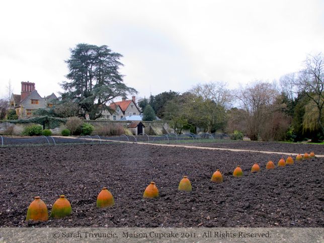 Garden at Le Manoir aux Quat' Saisons