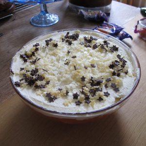 Bowl of Trifle Topped with Chocolate Pieces