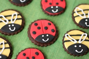 Ladybirds and Bees cookies