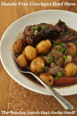 Slow Cooker Beef on the Bone