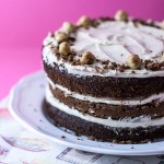 Chocolate Chestnut Cake