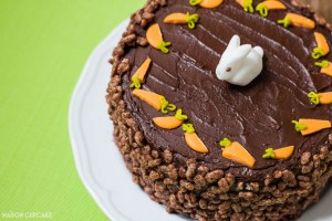 Easter bunny rabbit poop cake