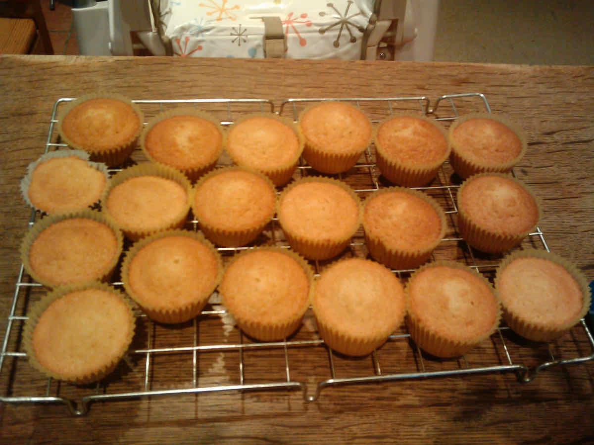 A batch of plain cupcakes on a wire cooling tray