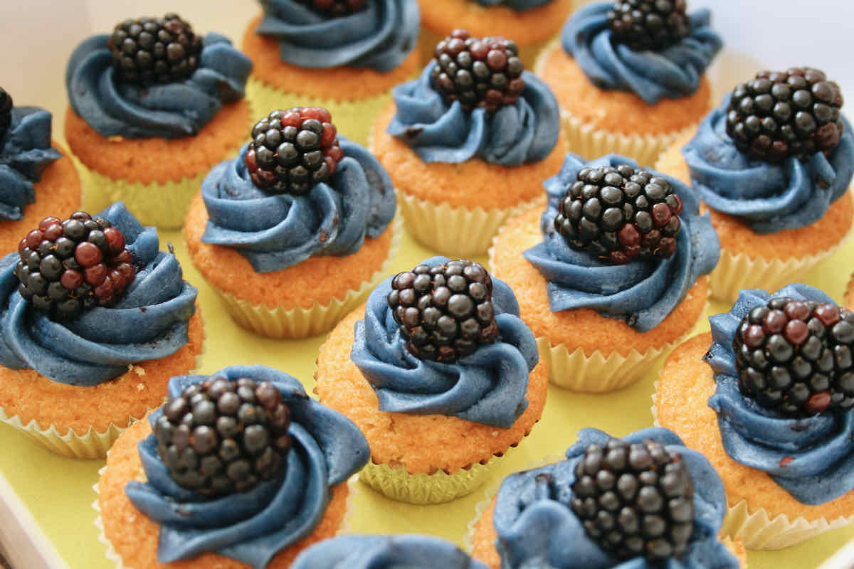 Mini Blackberry Cupcakes with blue icing in a cardboard cake box.