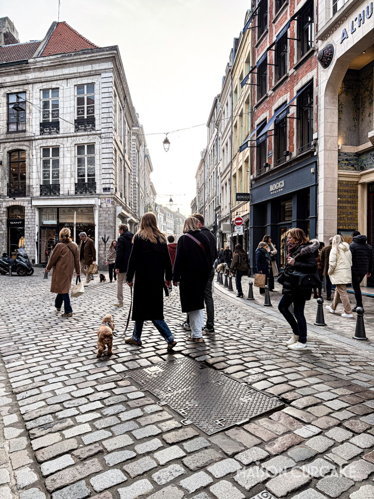 3 days in Lille: Women walking dogs along a sunlit cobbled street in Vieux Lille