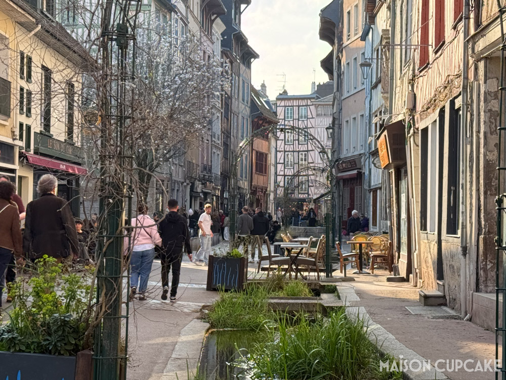 Rue Eau de Robec in Rouen with watery channel filled with plants.