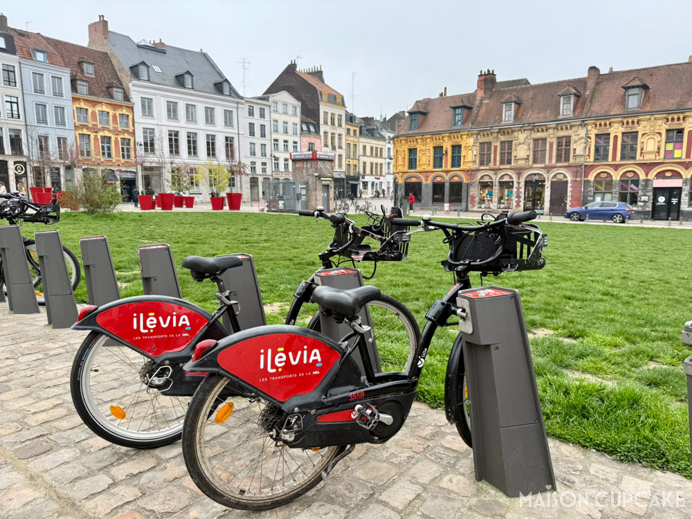 Velib hire bikes Lille France