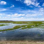 Marshland with blue skies on a weekend in the Somme France