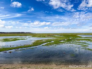 Marshland with blue skies on a weekend in the Somme France