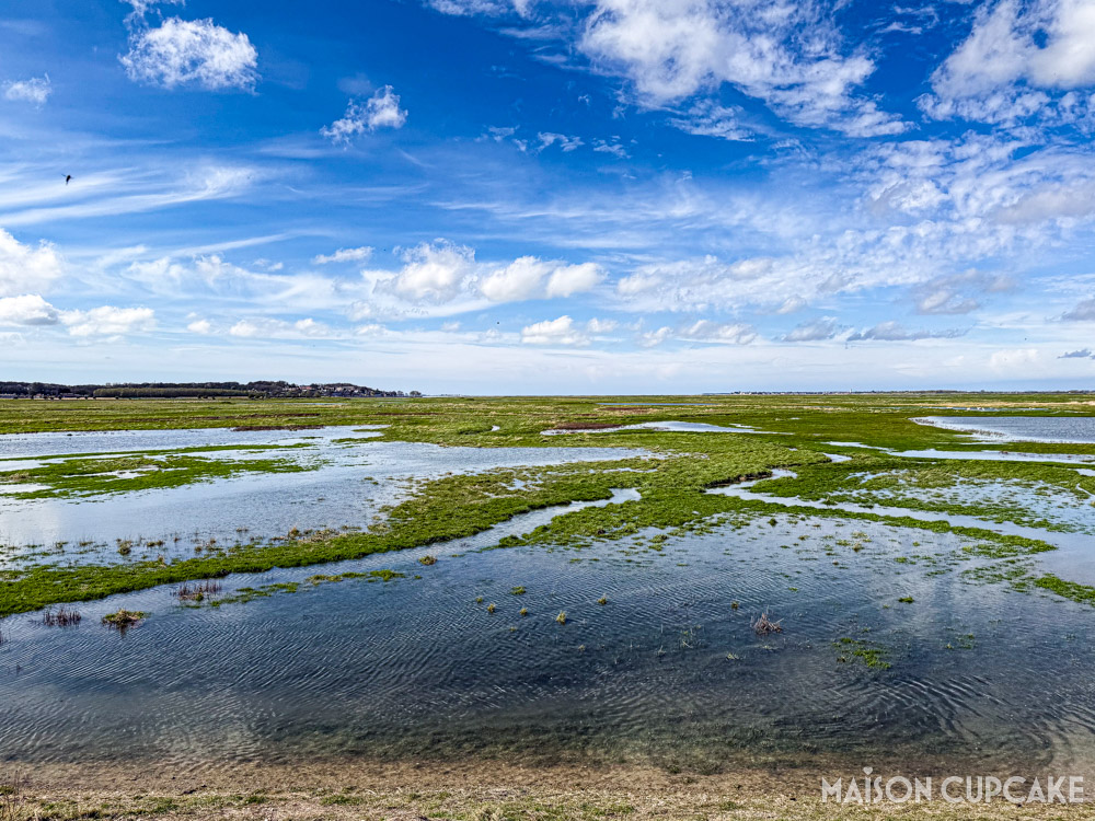 Marshland with blue skies on a weekend in the Somme France